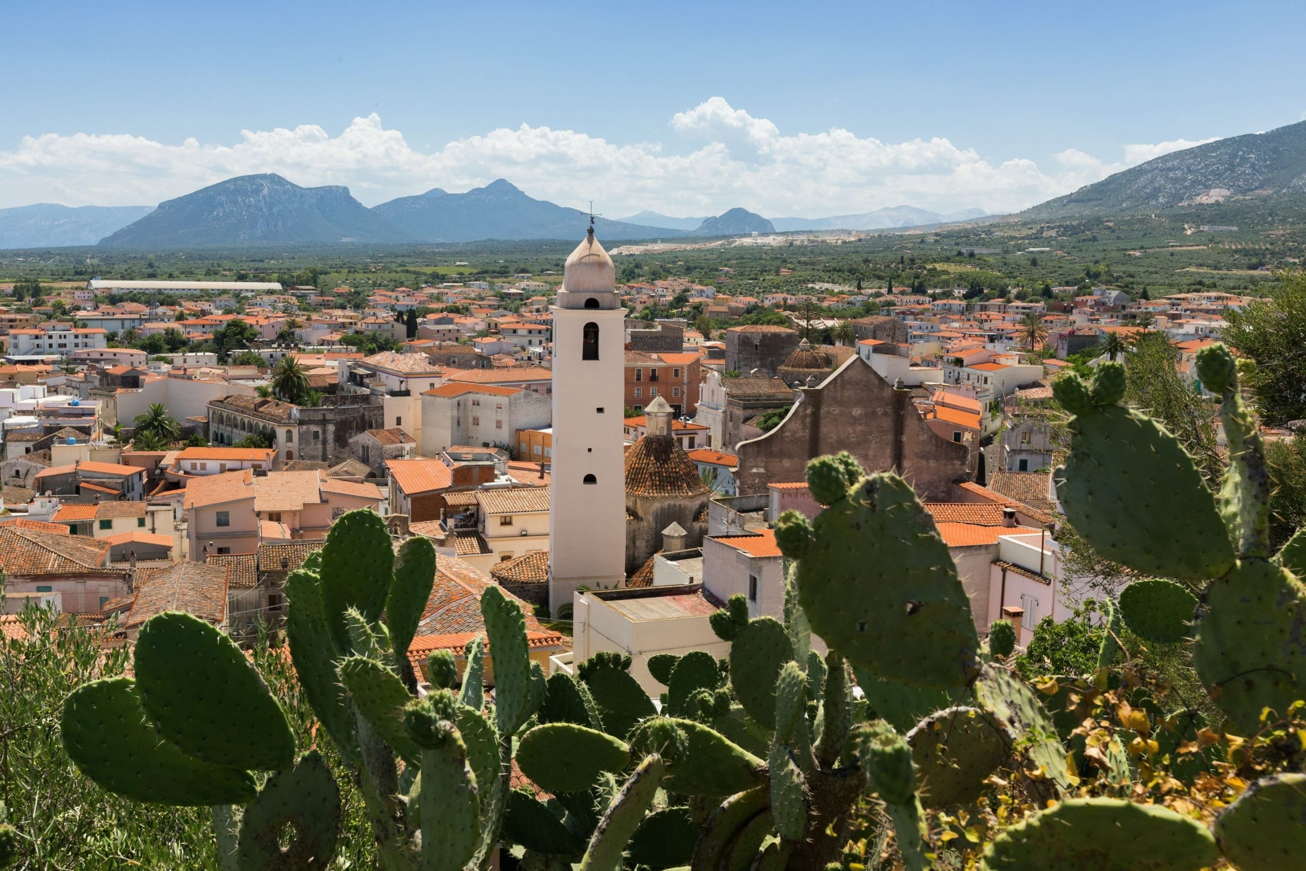 Su Cannonariu